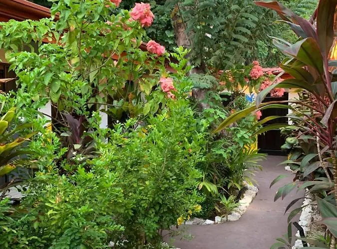 Yoga Salt Life Lodge