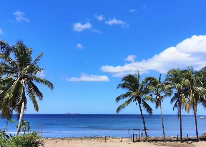 El Siete Palmas