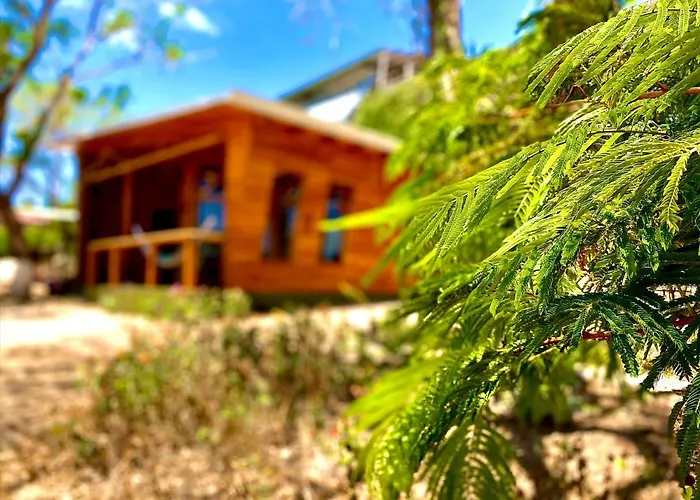 Hoja Azul
