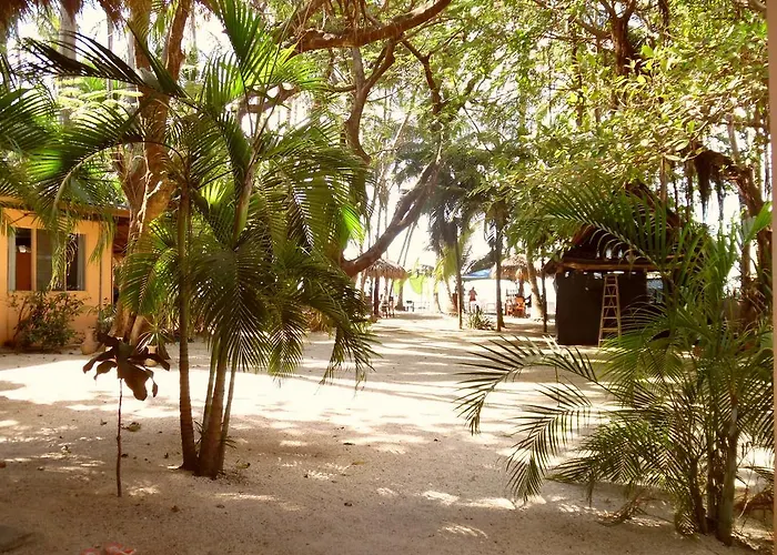 La Palapa