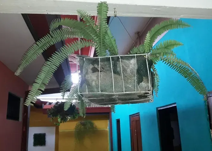 Hospedaje Zardy