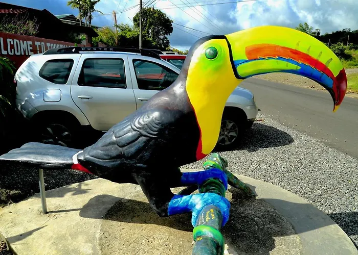 Toucan Lane