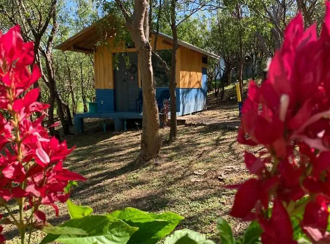 Cabinas Casa Soley