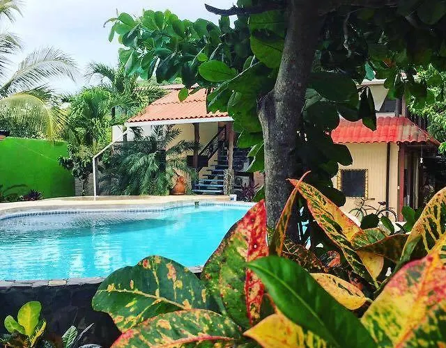 Beautiful Second Story Apartment 202 Next To Playa Flamingo