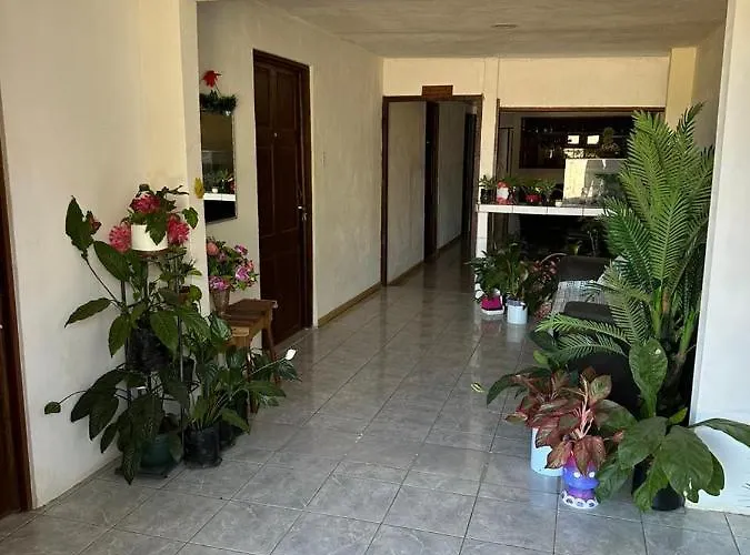Hospedaje Angela