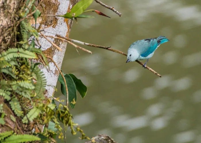 Lucky Bug Bed And Breakfast