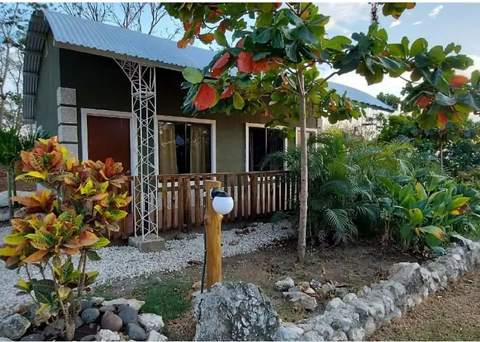 Blue Parrot Cabinas