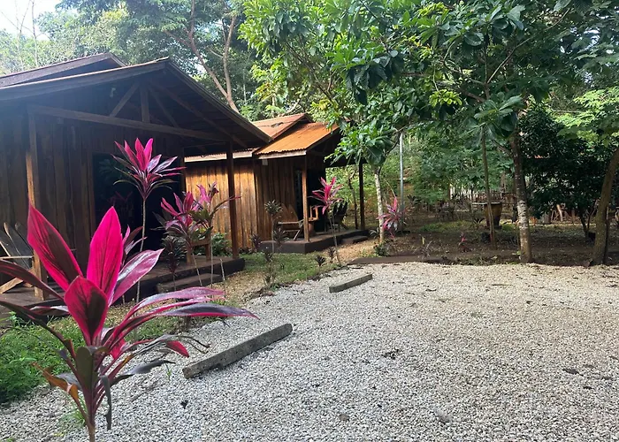 Finca Avellanas