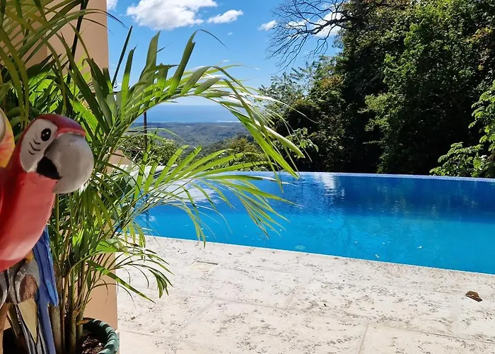 Vista Mar Y Monos
