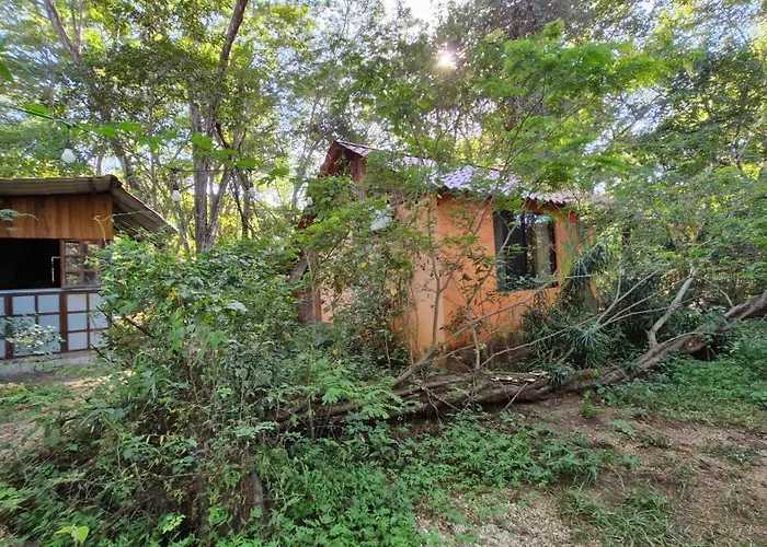 Pachamama Bio Hostel