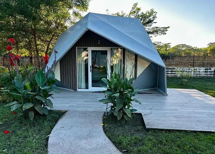 Pacific Glamp