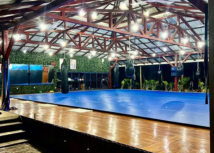 Jungle's Edge