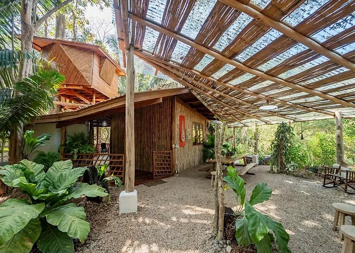 Samara Tarantela, Treehouse