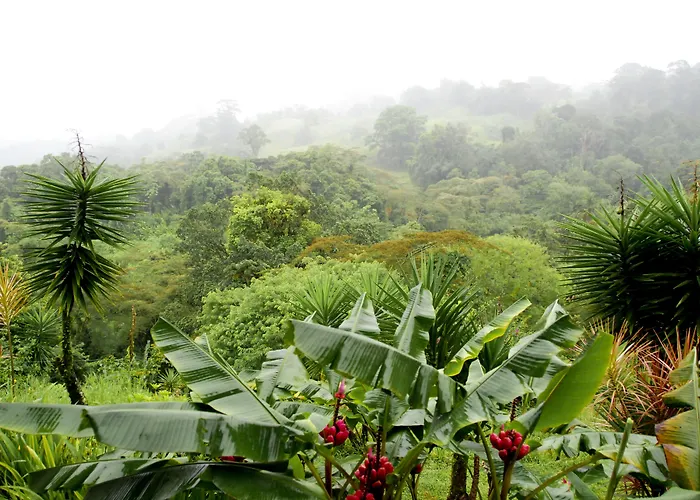Hotel La Mansion Inn Arenal