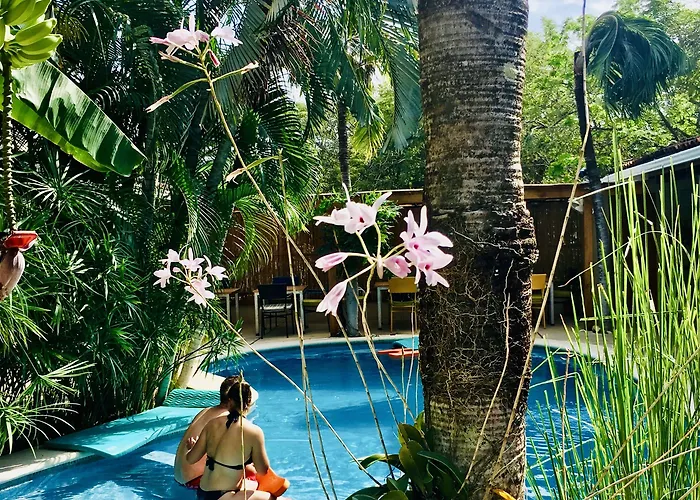 Ten North Tamarindo Beach Hotel