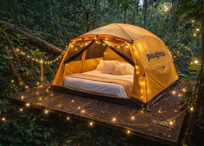Jungle Overnight