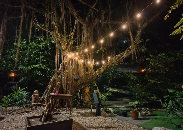 Magic Jungle Beach