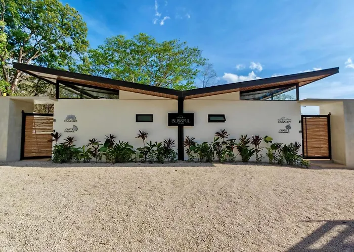 Blissful Homes