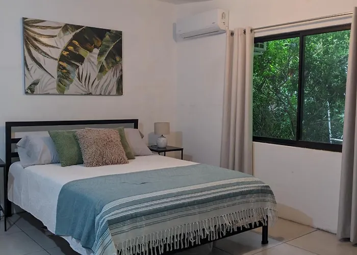 The Paradise Jungle Studio