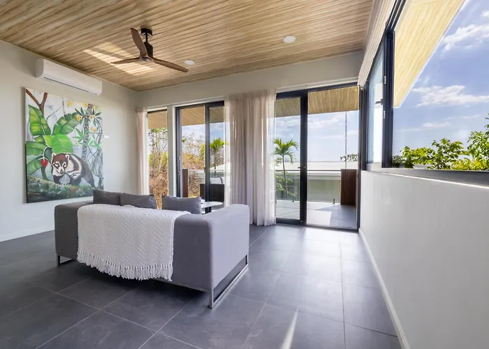 Solindo Suite