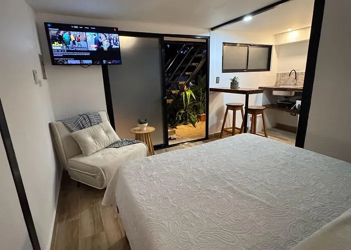 Cabinas Matapalo