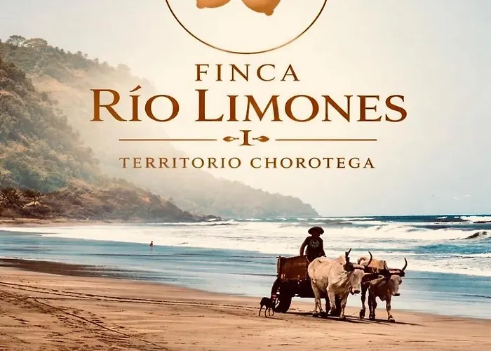 Finca Rio Limones - Territorio Chorotega