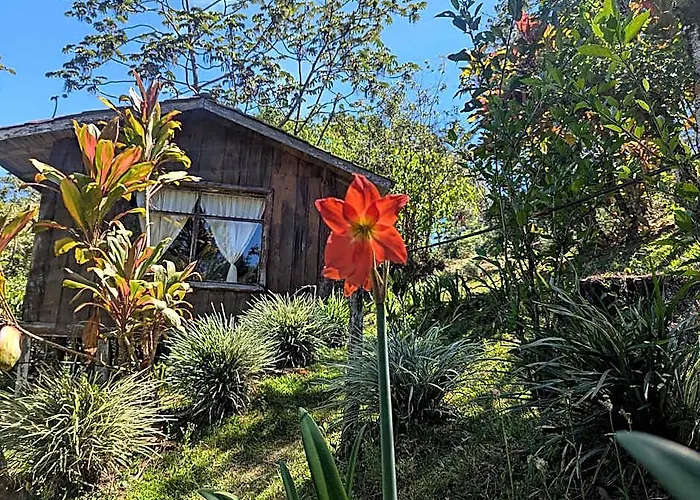 Campos De Oro Wilderness Lodge