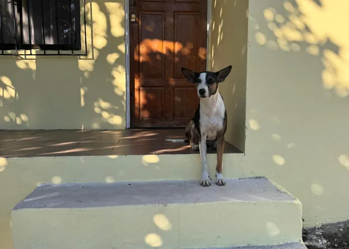 Casa Malu