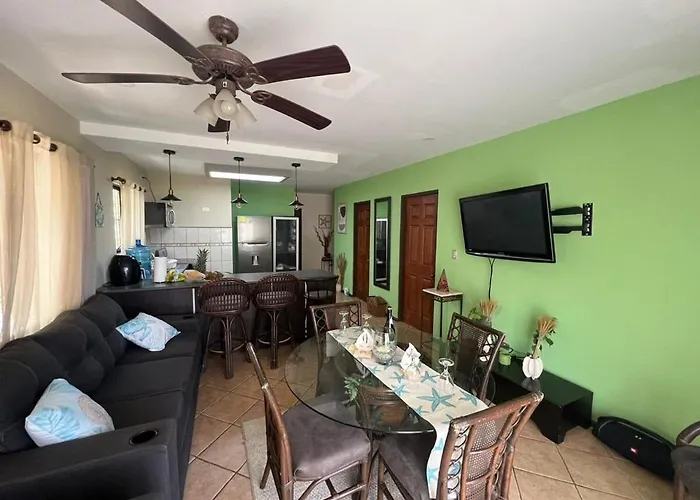 Tropical Stay In Coco