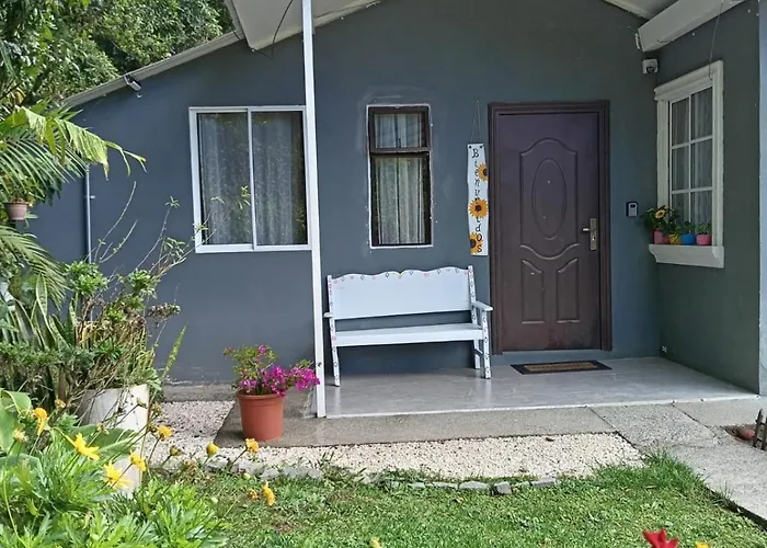 Casita Vivi