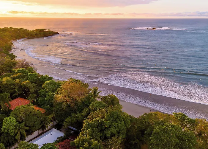 The Coast Beachfront Hotel