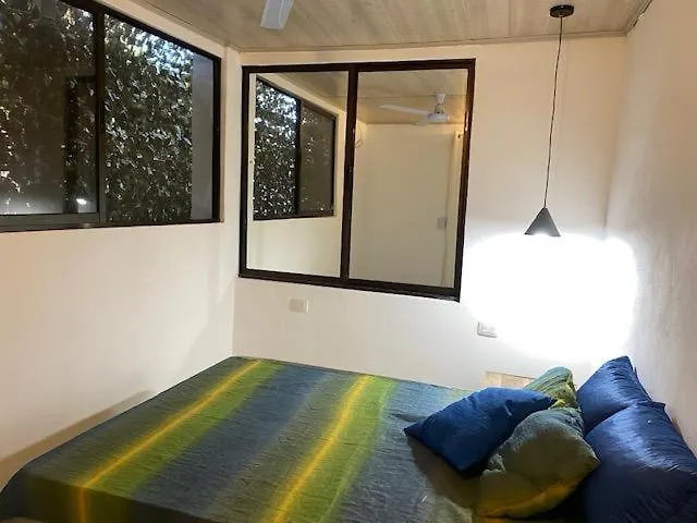 Pacifica Experience