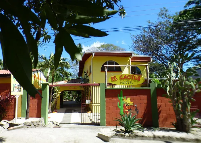 Hostel El Cactus