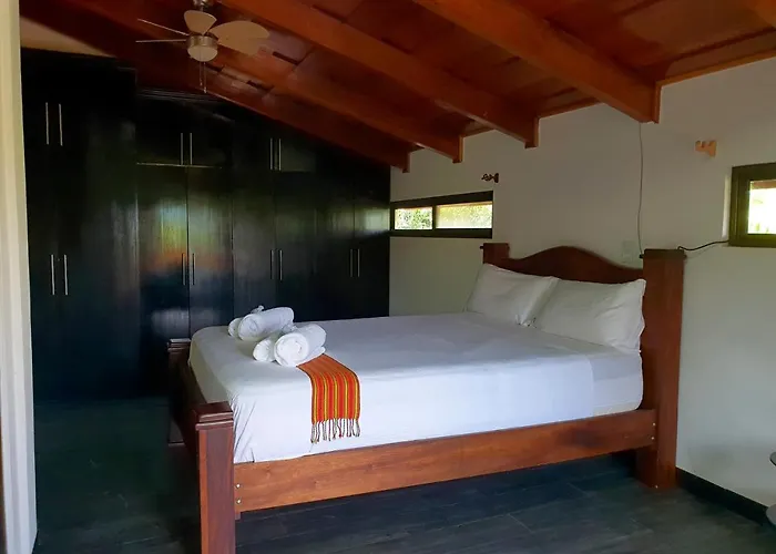 Villa Paraiso Monkey