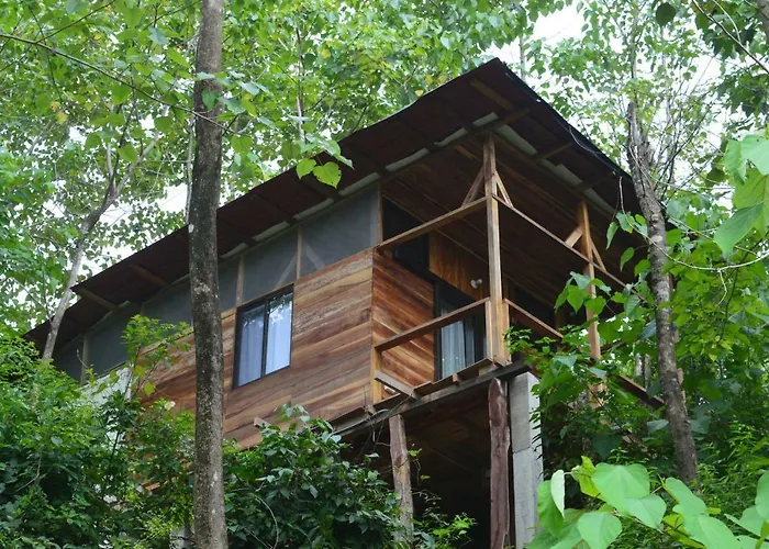 Surf Samara Treehouse 2