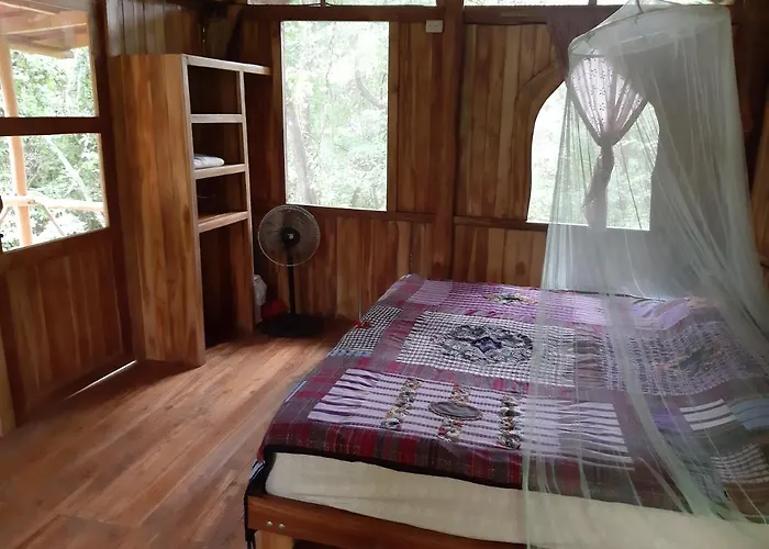 Alya Jungle Casitas