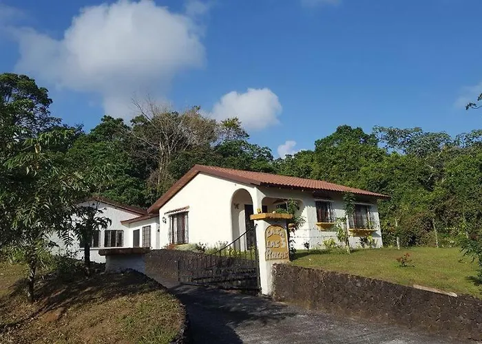 Enjoy Your Stay In A “Pura Vida” Way At Nuevo Arenal.